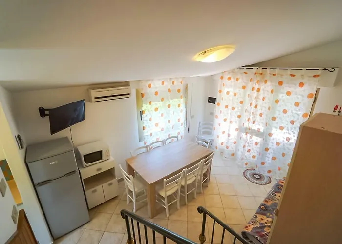 Girasole ビビオーネ